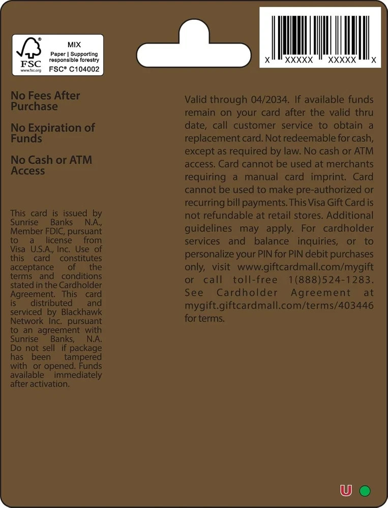 Visa $100 Gift Card (plus $5.95 Purchase Fee)