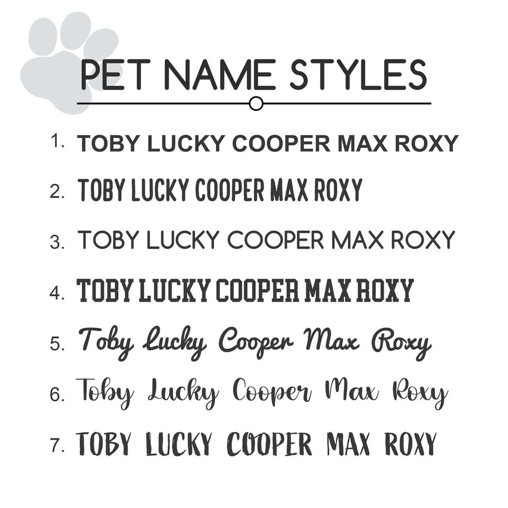 LEASH KING Cute Pet ID Tags with Split Ring