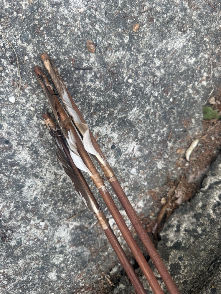 Handmade Native American Bow & Arrows Rare