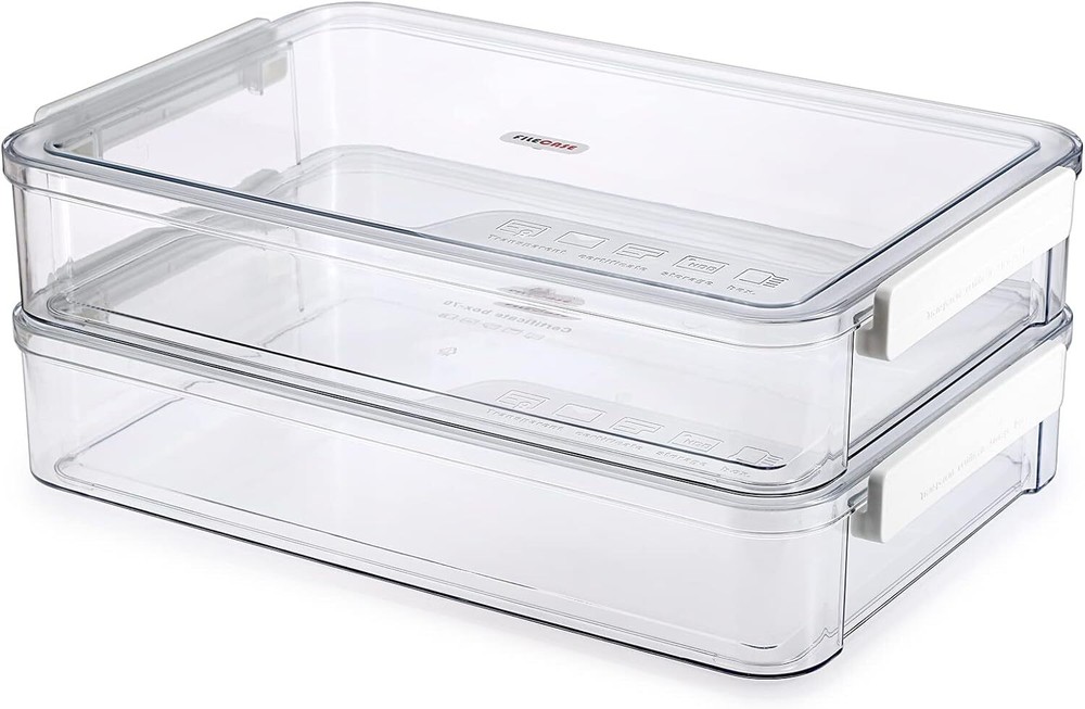 BTSKY 2 Pack Clear Plastic Stackable Storage Box File Protector Big, White