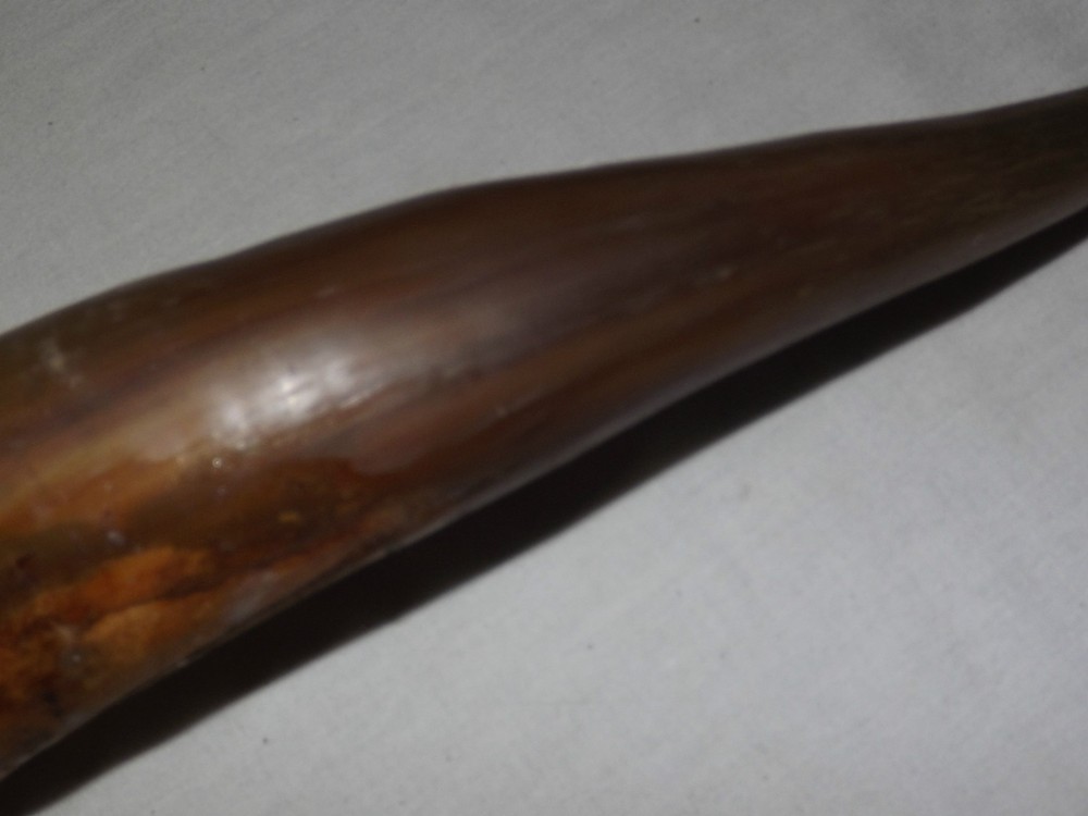 VINTAGE POWDER HORN UNKNOWN YEAR MADE