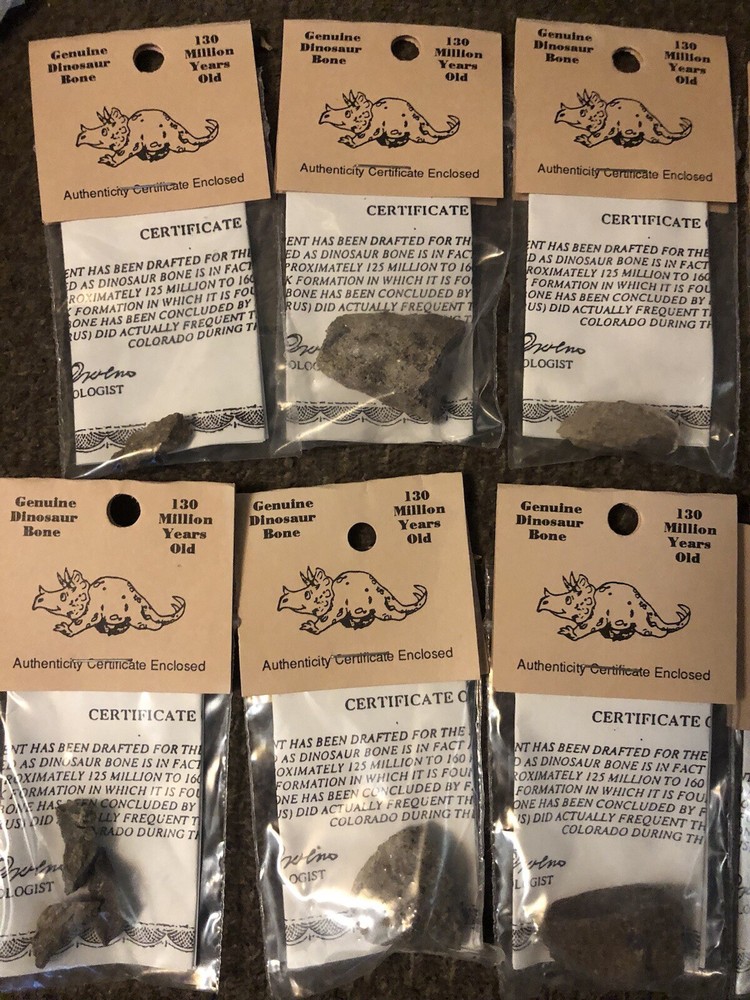 GENUINE DINOSAUR BONE SPECIMEN AUTHENTICITY CERTIFIED Collectors Fossil
