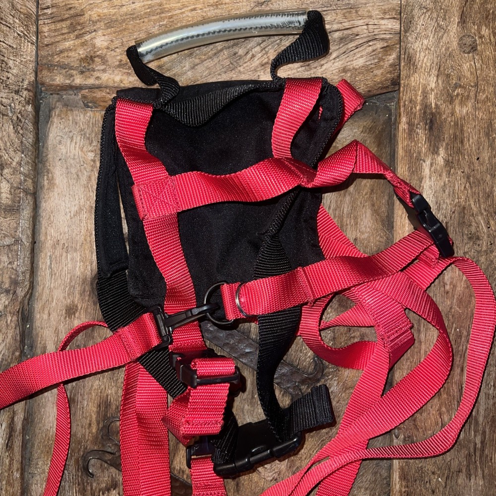 Ski Trainer By Lucky Bums Children’s Ski Training Strap For Beginners