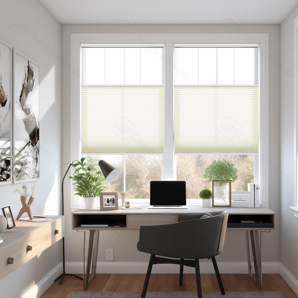 Changshade CUSTOM Top Down Bottom Up 38MM Light Filtering Cellular Shades