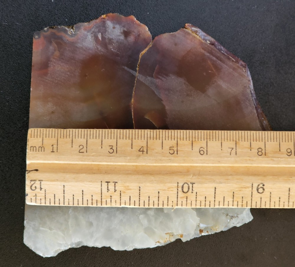 Carnelian Agate Oregon