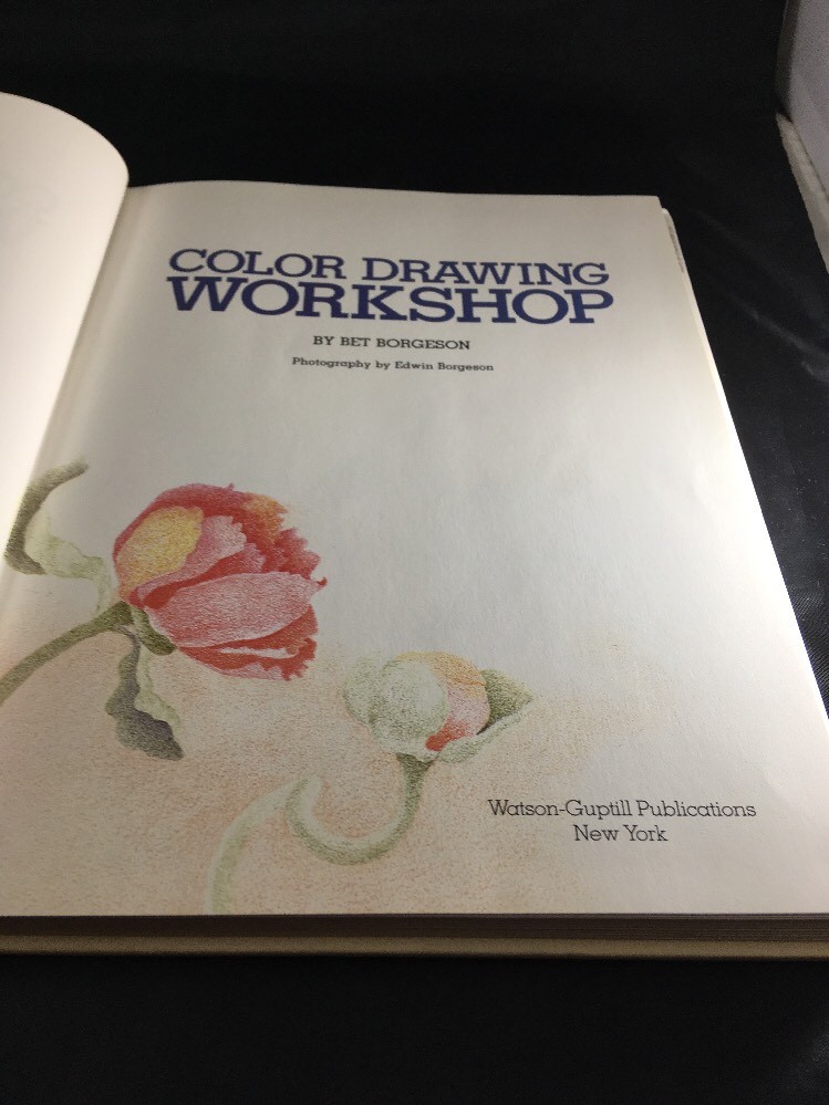Color Drawing Workshop Project Book by Bet Borgenson Drawing Instruction Book