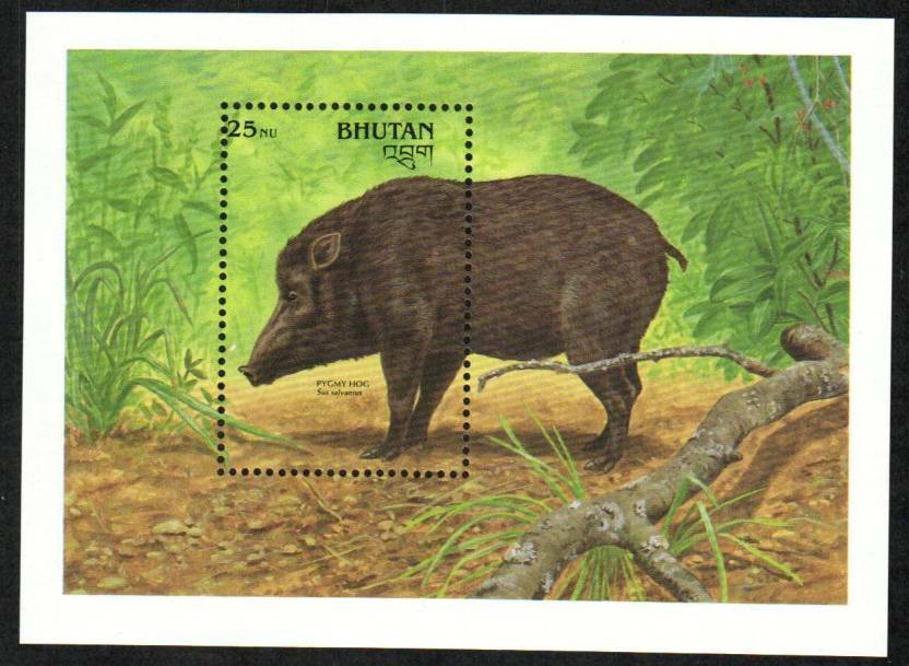 Bhutan Stamp 939  - Pygmy Hog