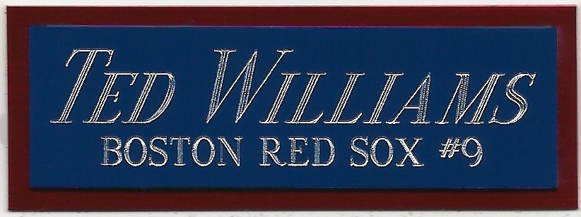 TED WILLIAMS RED SOX NAMEPLATE FOR AUTOGRAPHED Signed Baseball Display CUBE CASE