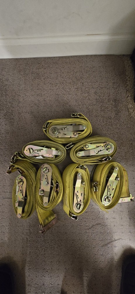 (7) Cargo Control E-Track Ratchet Buckle Strap w/ Spring Clips 1000 lbs WLL 12'