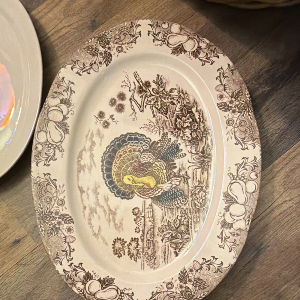 Set of 4 Large Oval Ceramic Platters Turkey Landscape Solid Thanksgiving