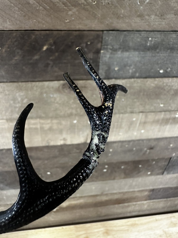 Antique Black Forest Papier-Mâché Hunters Clock