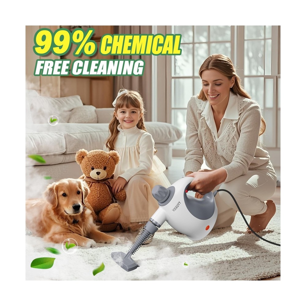 Multi-Surface Handheld Pressurized Steam Cleaner with 13 PCS Accessory ，P