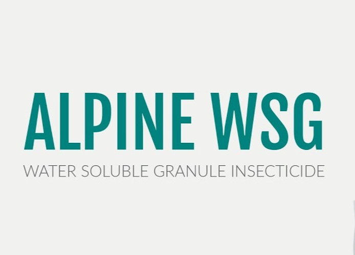 5 Packets Alpine WSG Water Soluble Granule Insecticide Kill Ant roach etc