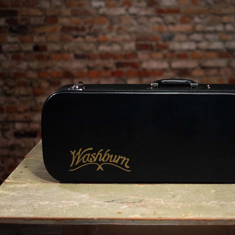 Washburn M108S - Mandolin