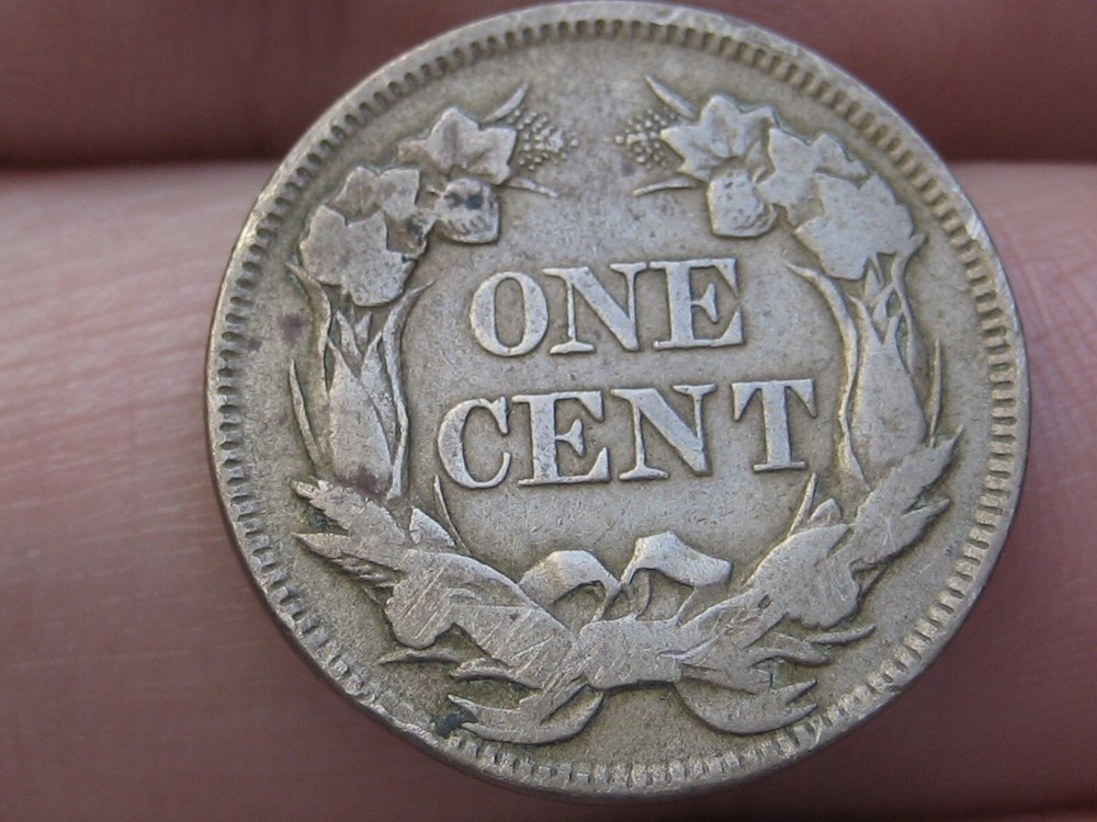 1857 Flying Eagle Penny Cent- VF/XF Details