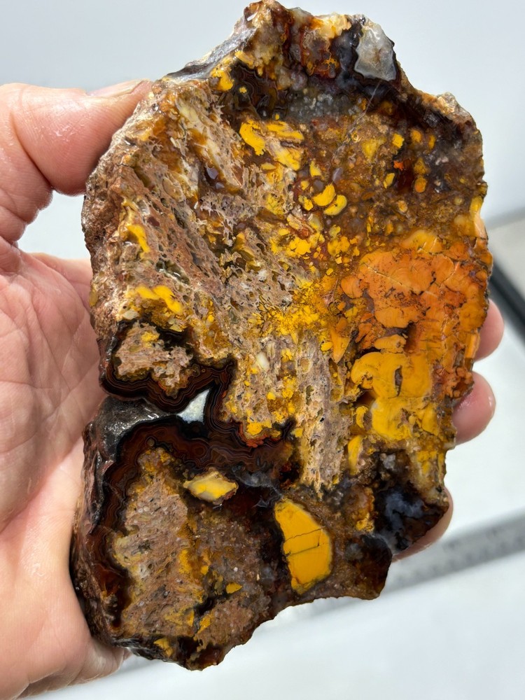 Turkish Agate Slab Cabbing Lapidary Collecting Combo Ship Avail