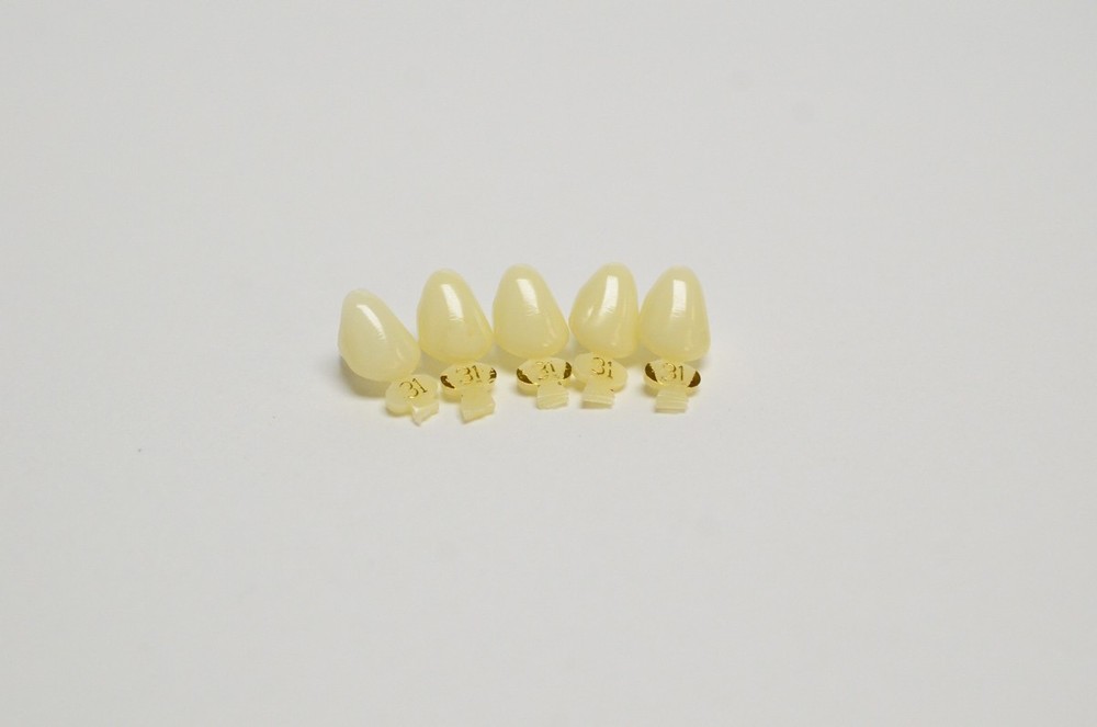 DENTAL POLYCARBONATE TEMPORARY CROWNS #31 (URC) UPPER RIGHT CUSPID 5/PACK