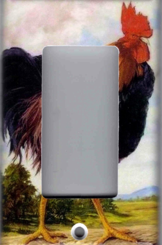 ROOSTER KITCHEN HOME DECOR LIGHT SWITCH PLATES AND OUTLETS