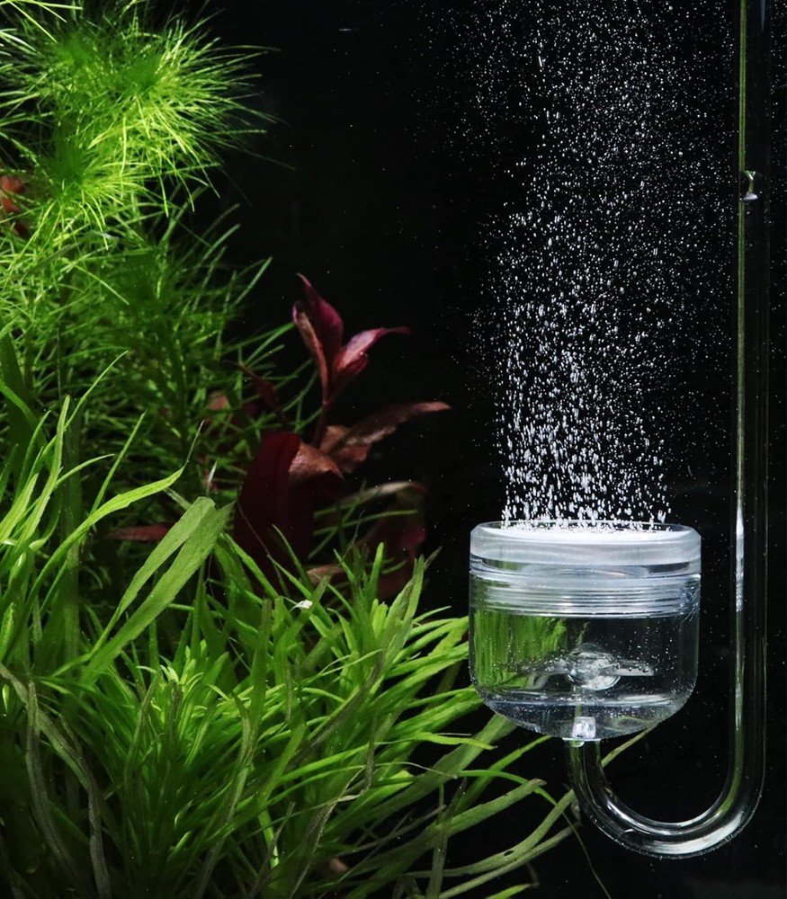 Acrylic CO2 Diffuser with Integrated Bubble Counter for diffuser(L)