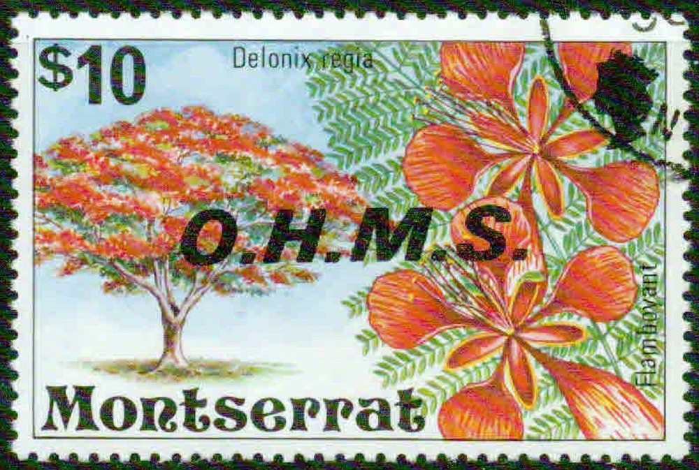 MONTSERRAT – 1976  – OFFICIAL  – VF  °