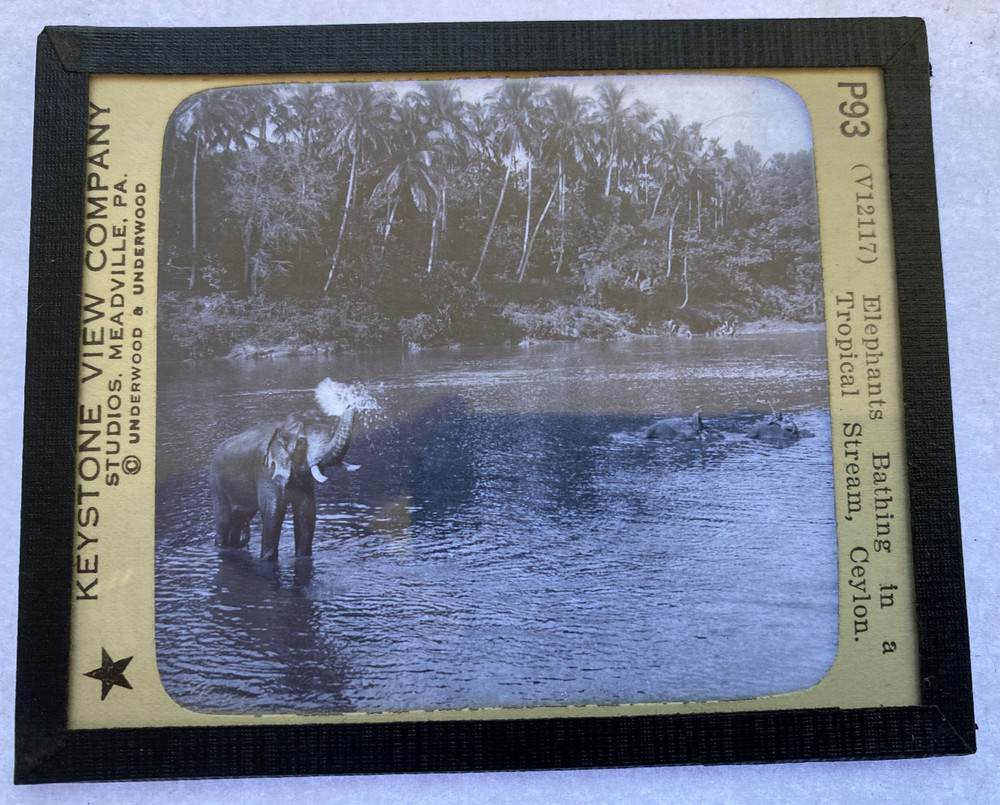 KEYSTONE MAGIC LANTERN SLIDE 93 ELEPHANTS BATHING IN STREAM CEYLON 1920s