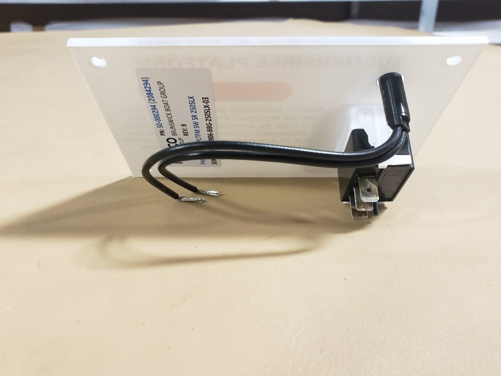 SEA RAY BOATS SUBMERSIBLE PLATFORM PANEL WITH SWITCH AND LIGHT