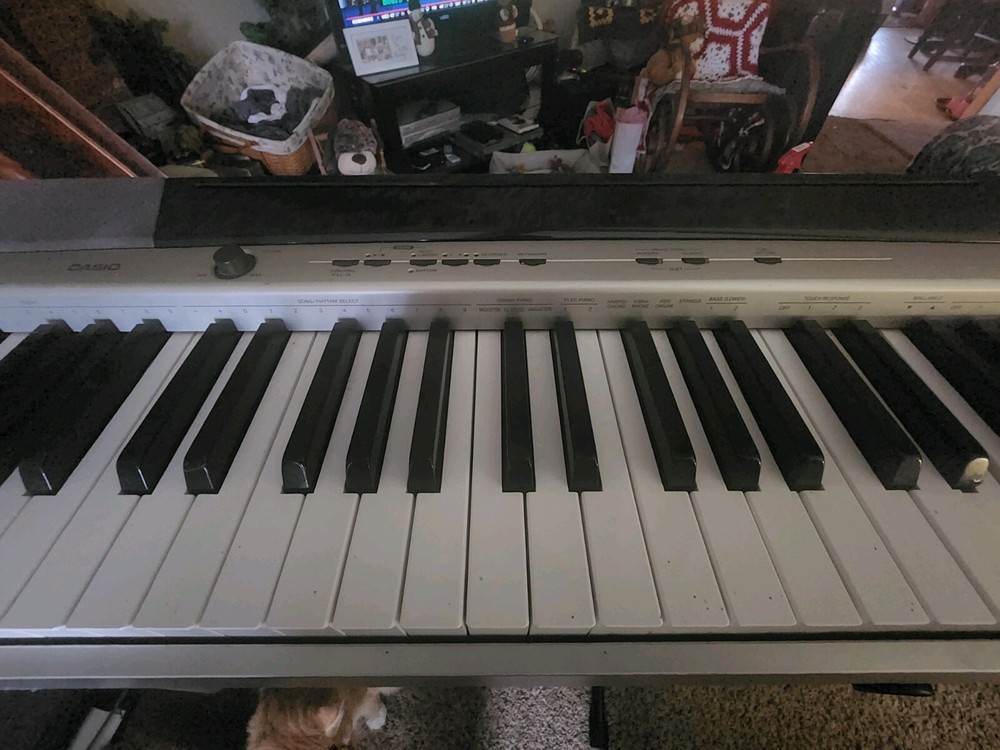 Casio Priva PX 120 & AODSX stand.