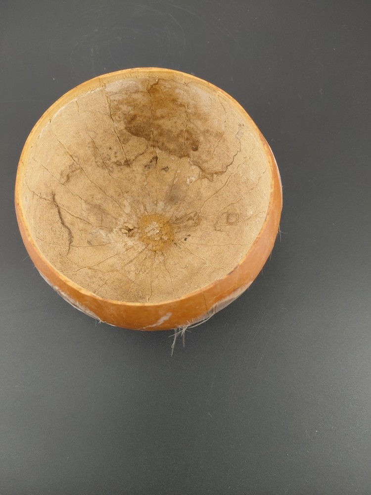Gourd Dipper