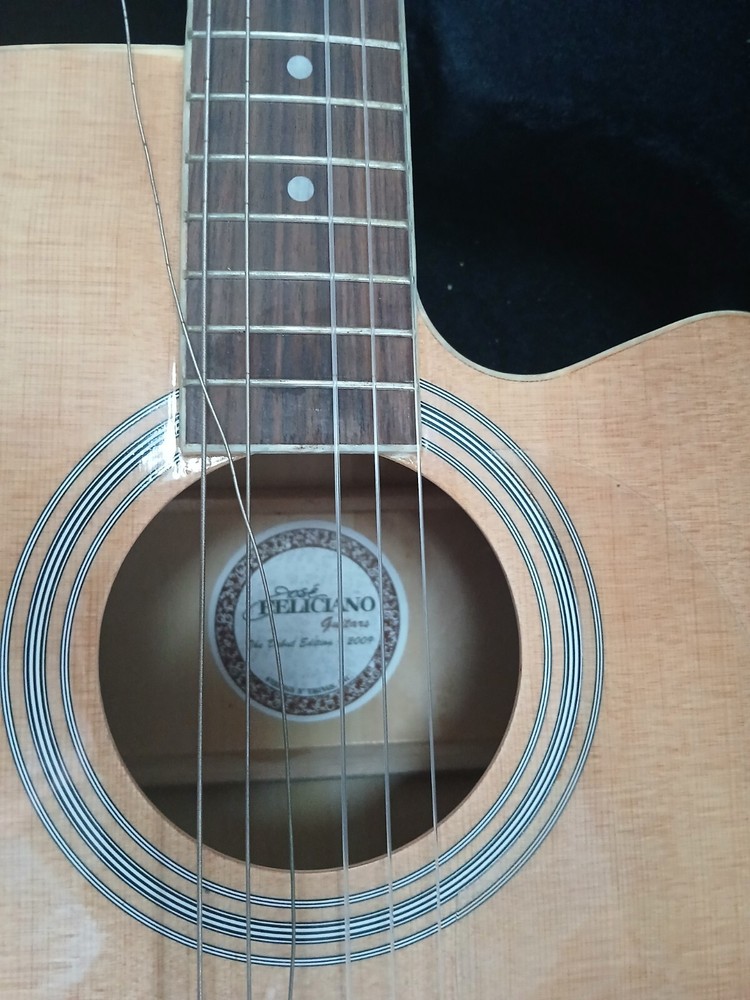 jose feliciano 2007 guitar