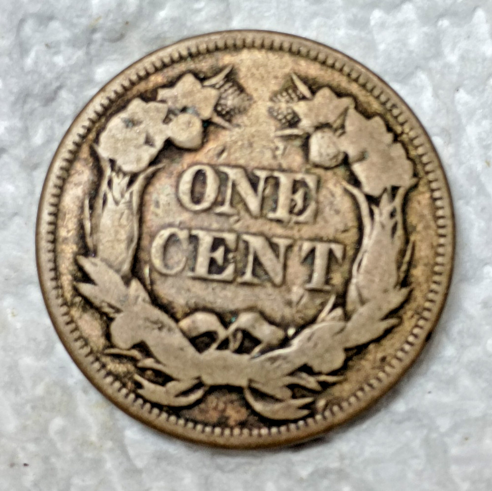 Flying Eagle 1858 one small cent USA coin