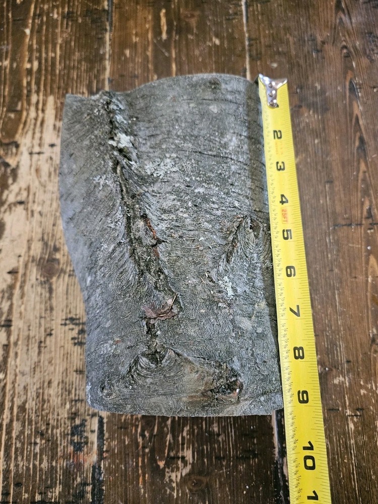 CHERRY Turning Crotch Log 9" Long c291
