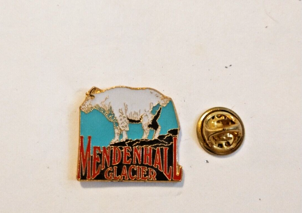 Mendenhall Glacier pin collectable Souvenir