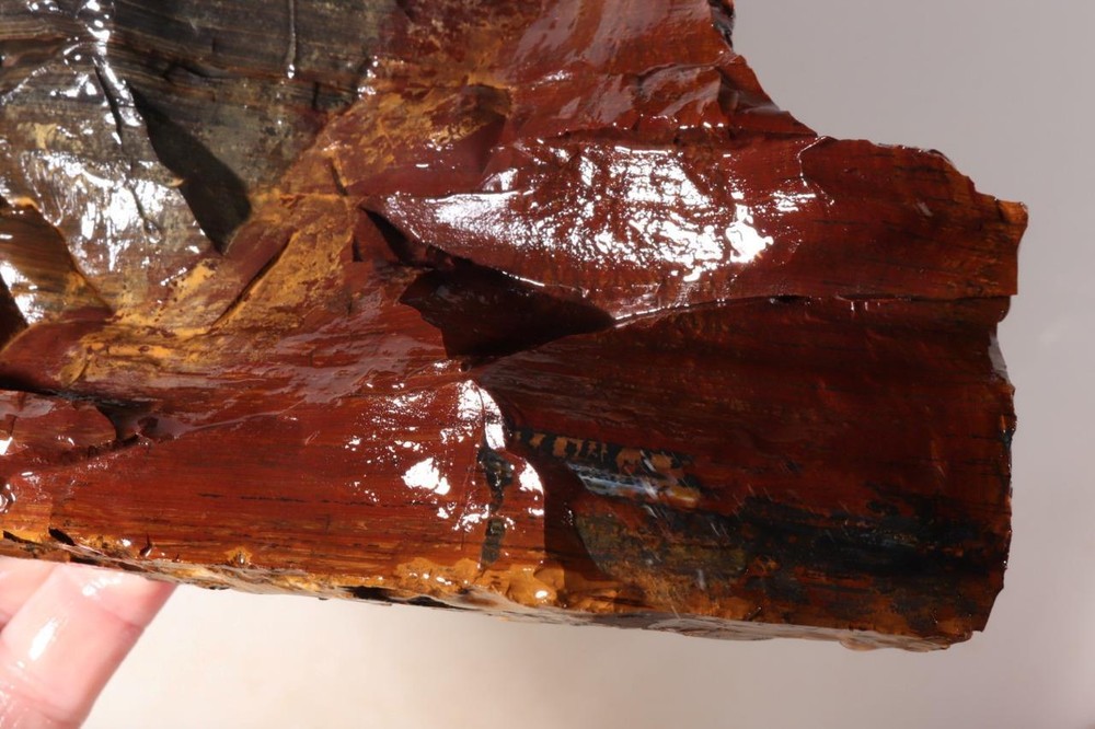 Biggs Scenic type Jasper lapidary 5 lb 10 oz end cut rough