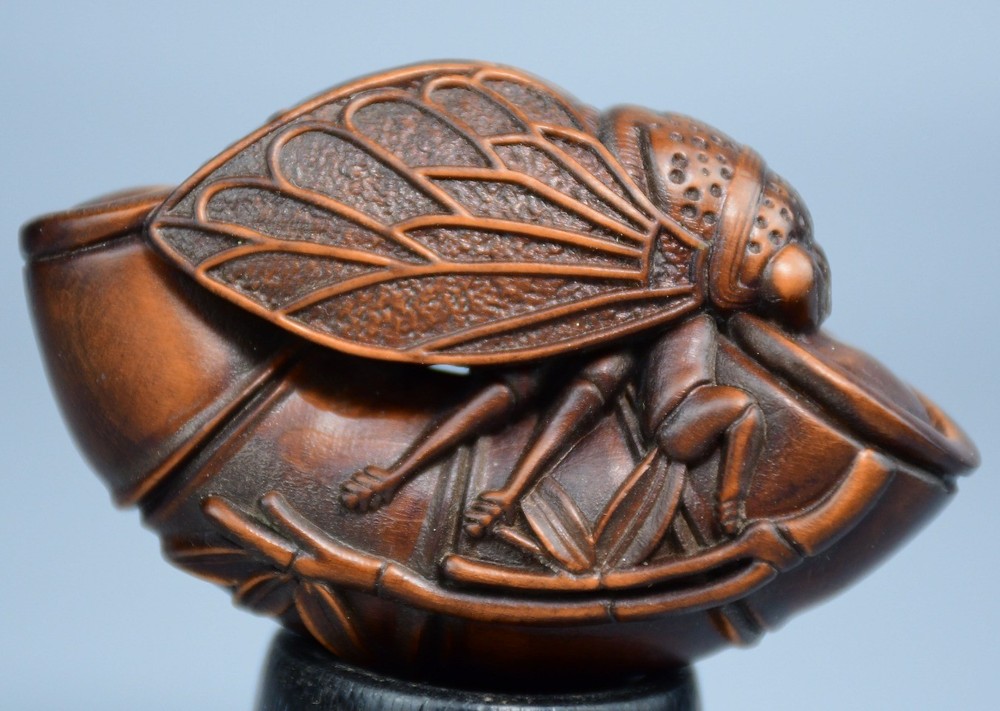 Exquisite Carved Boxwood Striking Display Piece