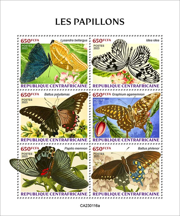 Butterflies