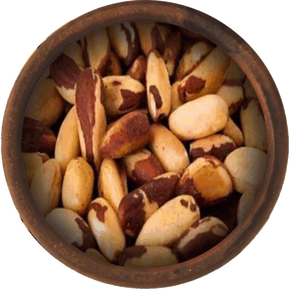 Bulk Brazil Nuts 10 lb Wholesale Box