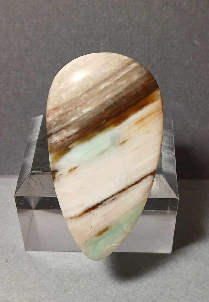 Turkish Colla Wood Cabochon