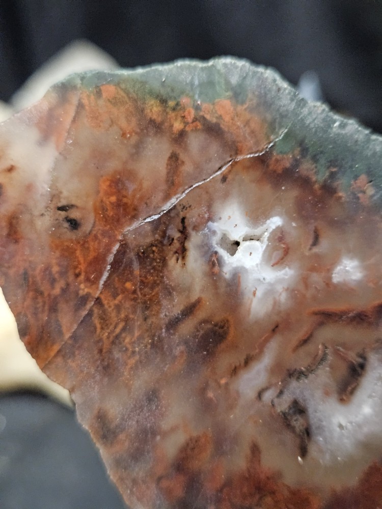 Plume Agate Multicolored Slab Specimen (1.76oz)