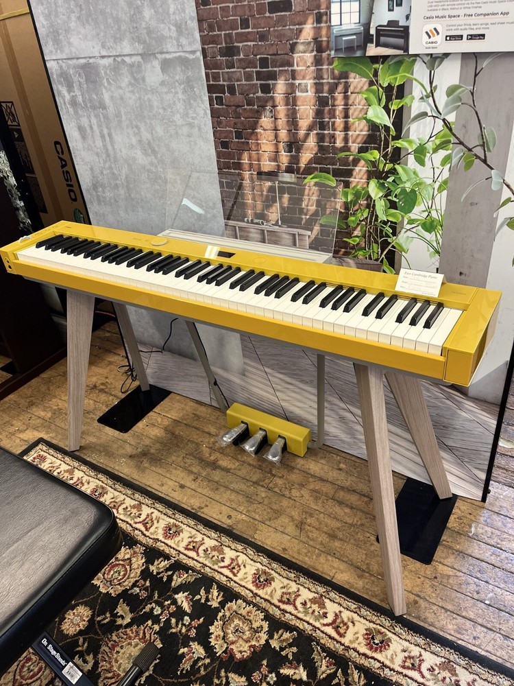 Casio PRIVIA PX-S7000 Digital Piano
