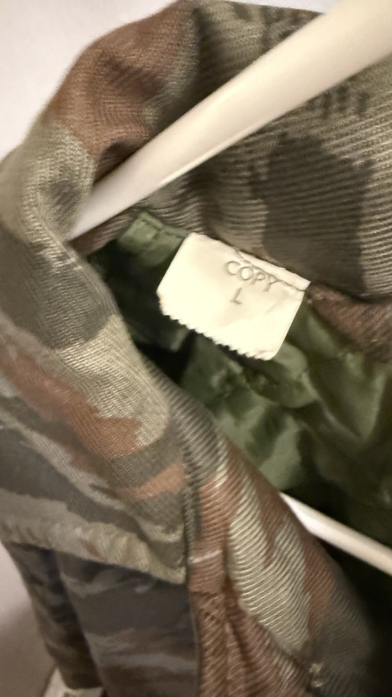 Cuban Lizard/ Grey Lizard