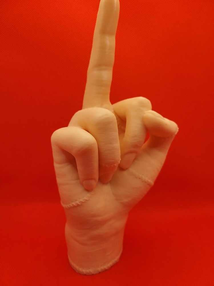 Severed Hand / Prop / Toy NSFW Middle Finger