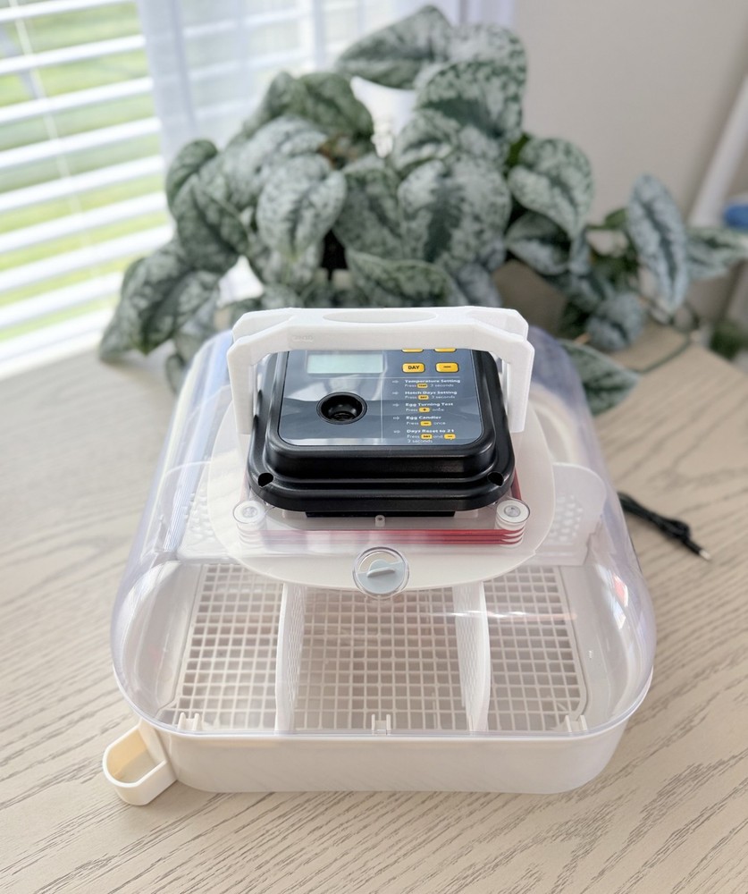 MATICOOPX INCUBATOR DIVIDER