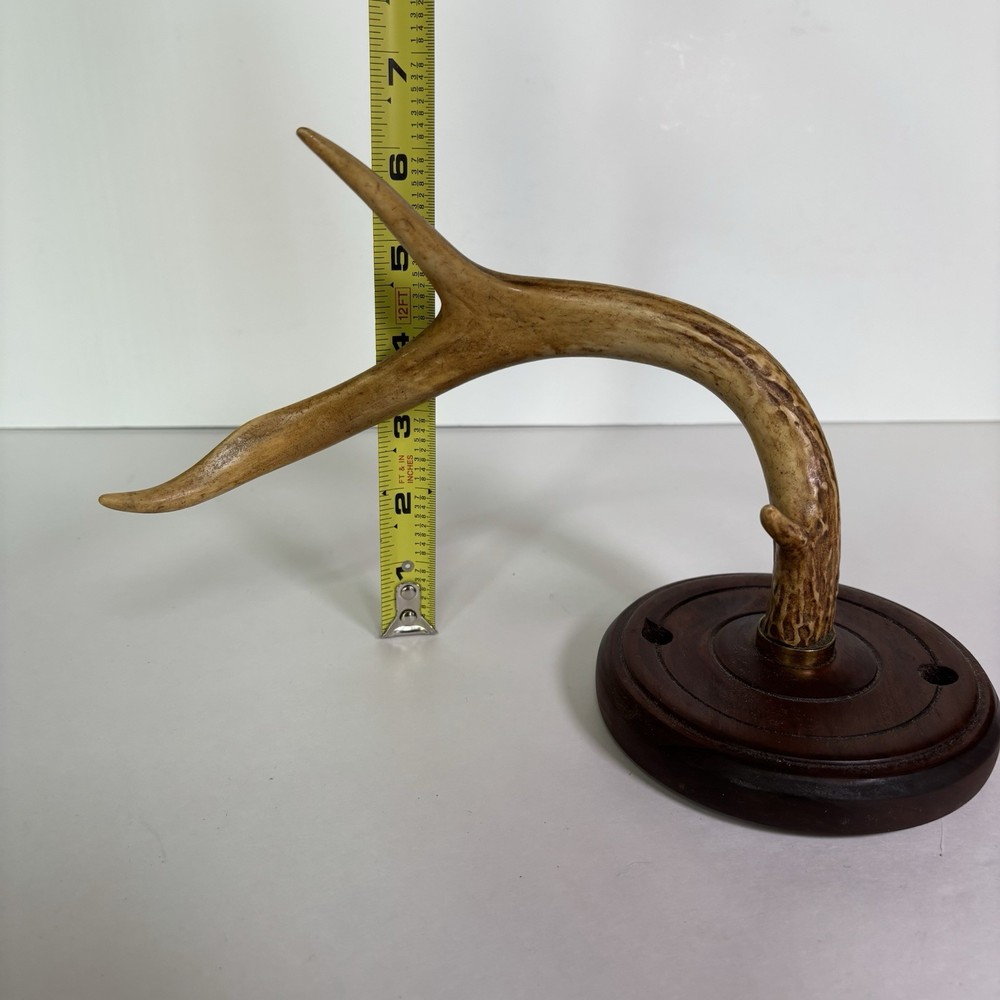 Antler Display