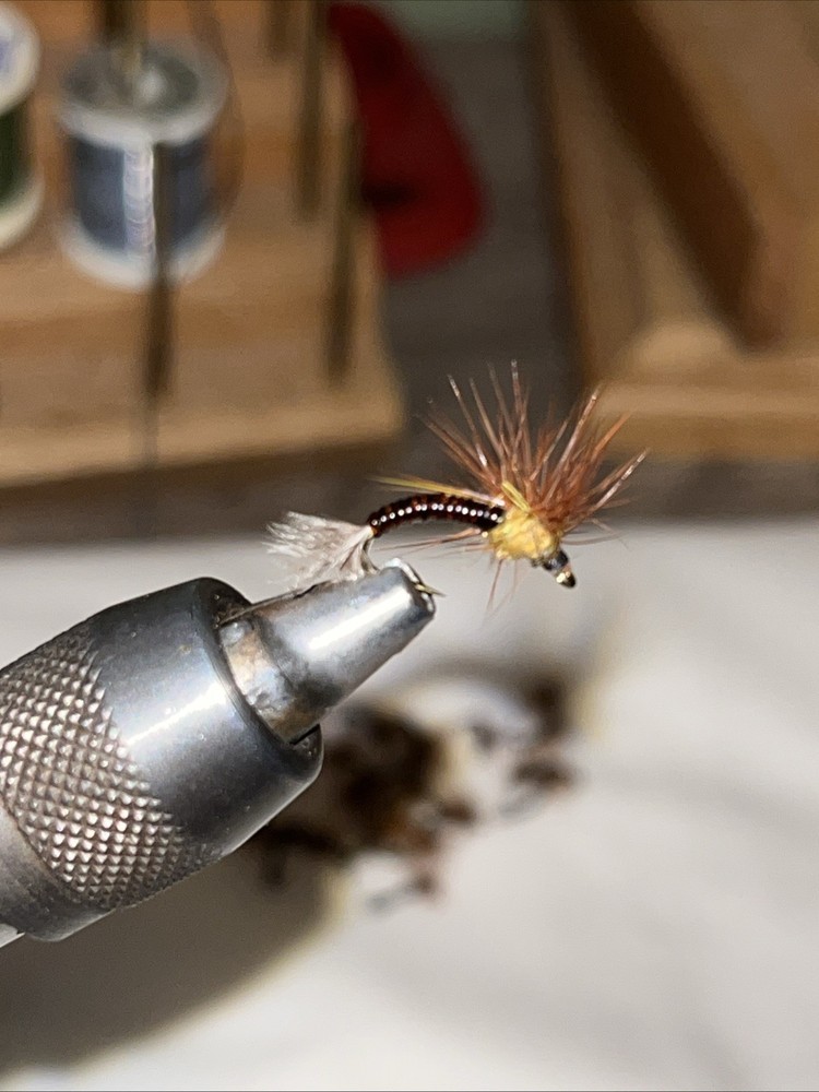 Rusty Emerger Fly Size #14 (6ct)