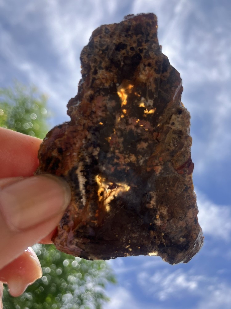 Priday Plume Agate Slab (Oregon)