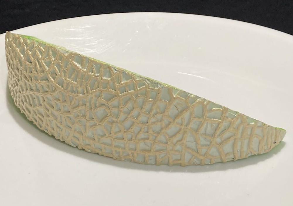 Food sample cut melon large