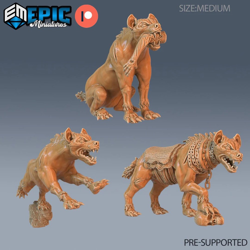 Hynea Dog