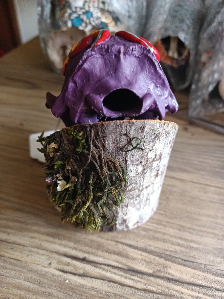 Skull On Wood (box 4)