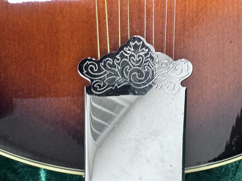 OSCAR SCHMIDT OM 10, Hard Case Great Shape