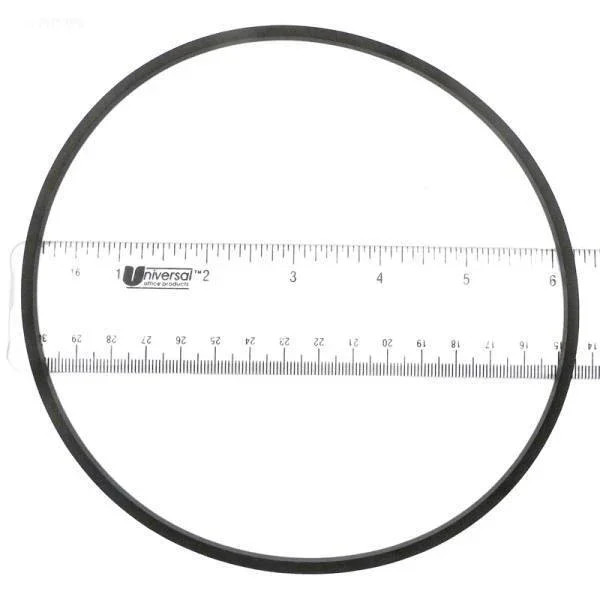 Gasket, Strainer body